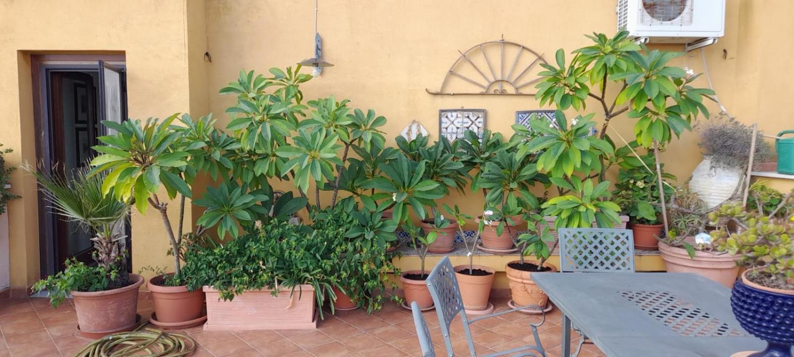 Terrazze Di Montelusa Agrigento Exterior foto